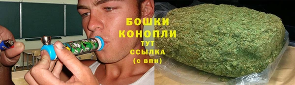 индика Липки