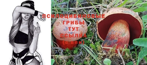 индика Липки
