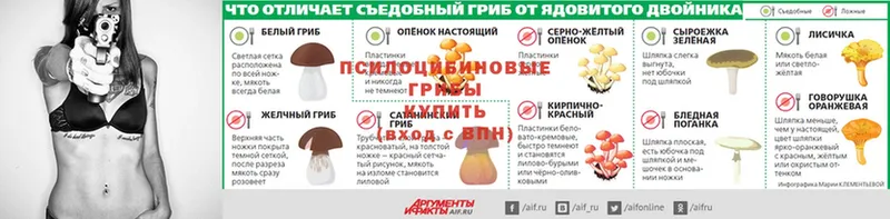 Псилоцибиновые грибы мухоморы  Белая Калитва 