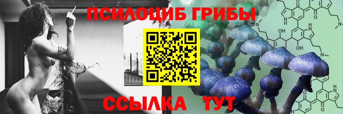 Псилоцибиновые грибы Cubensis  Белая Калитва  Псилоцибиновые грибы Magic Shrooms 